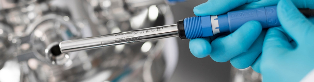 Oxygen Sensors And Transmitters For All Industries Endress Hauser
