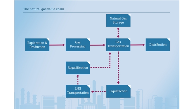 The natural gas / liquefied natural gas value chain