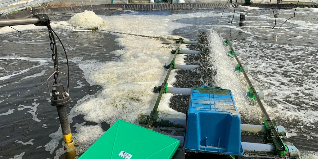 Rendimento ideal do produto na procriação de camarões com a ajuda de um sistema de monitoramento da qualidade da água online Monitoramento confiável da qualidade da água para garantir o rendimento ideal do produto ao criar camarões em aquaculturas