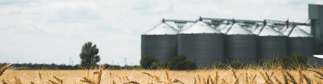 Uma fábrica de agronegócios para armazenamento de alimentos em tanques de armazenamento, silos de granel