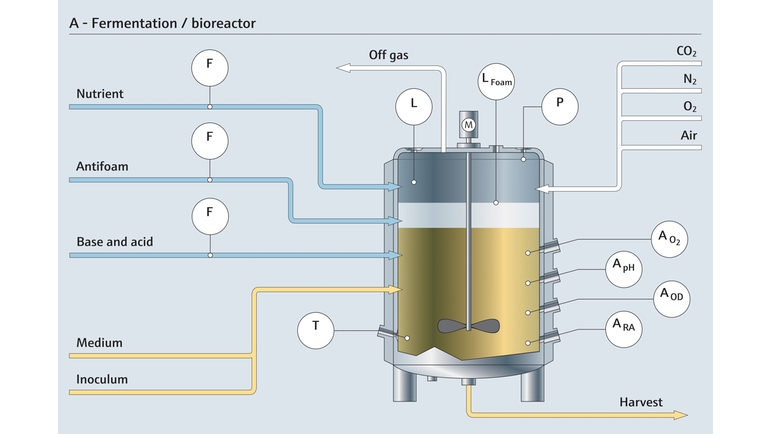 Fermentação em um biorreator e os respectivos pontos de medição