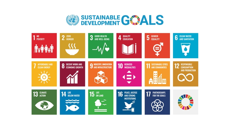 Objetivos de desenvolvimento sustentável das Nações Unidas