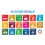 Os 17 Objetivos de Desenvolvimento Sustentável das Nações Unidas