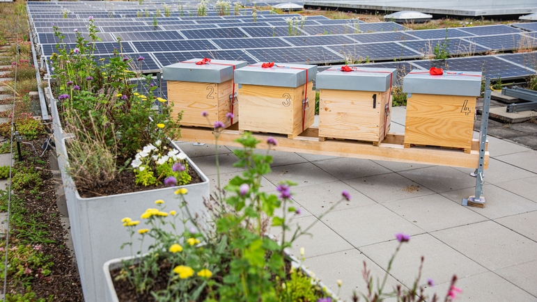 O telhado da Endress+Hauser Flow é o lar de diversas colônias de abelhas da própria empresa