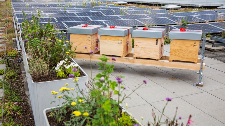 The roof of Endress+Hauser Flow is home to several of the company's own honey bee colonies